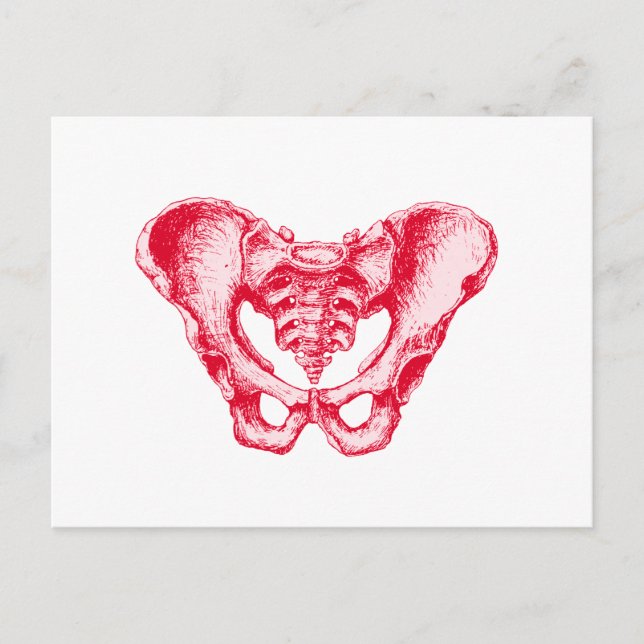 Male Pelvis Red Postkarte (Vorderseite)