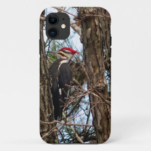 Male Pileated Woodpecker iPhone 11 Hülle