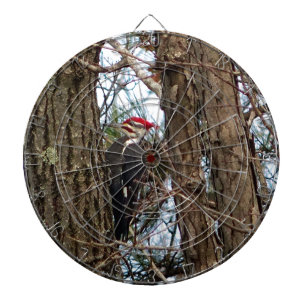 Male Pileated Woodpecker Dartscheibe