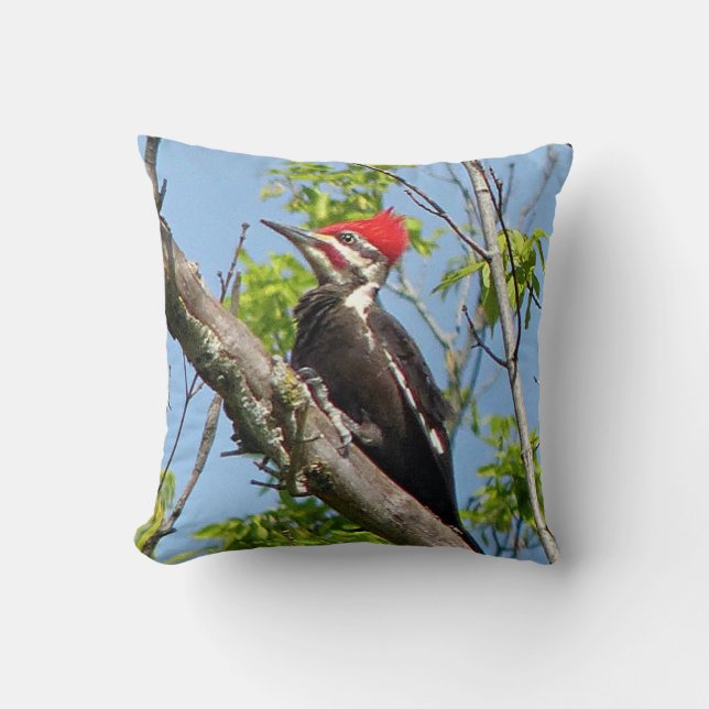 Male Pileated Woodpecker Kissen (Vorderseite)