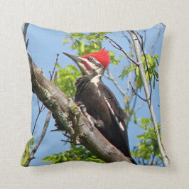 Male Pileated Woodpecker Kissen
