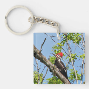 Male Pileated Woodpecker Schlüsselanhänger