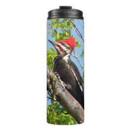 Male Pileated Woodpecker Thermosbecher