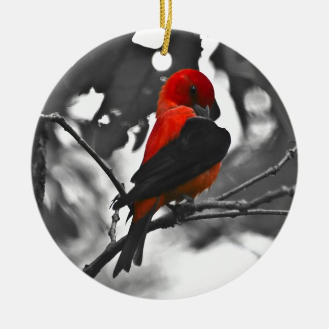 Male Scarlet Tanager Keramikornament (Vorne)