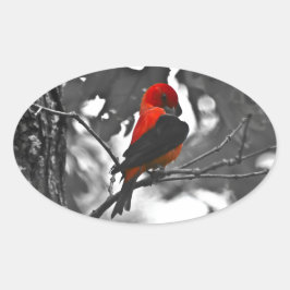 Male Scarlet Tanager Ovaler Aufkleber