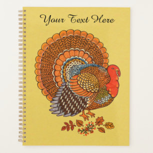 Male Turquie Fanned Tail Automne Couleurs plumes