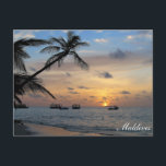 Malediven - Insel Kandoludu bei Sonnenuntergang Po Postkarte<br><div class="desc">Dieses Bild wurde auf der Insel Kandoludu im Ari Atoll der Malediven aufgenommen.</div>