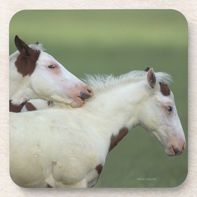 Malen Sie das Fohlen-Spielen Untersetzer (Vorderseite)