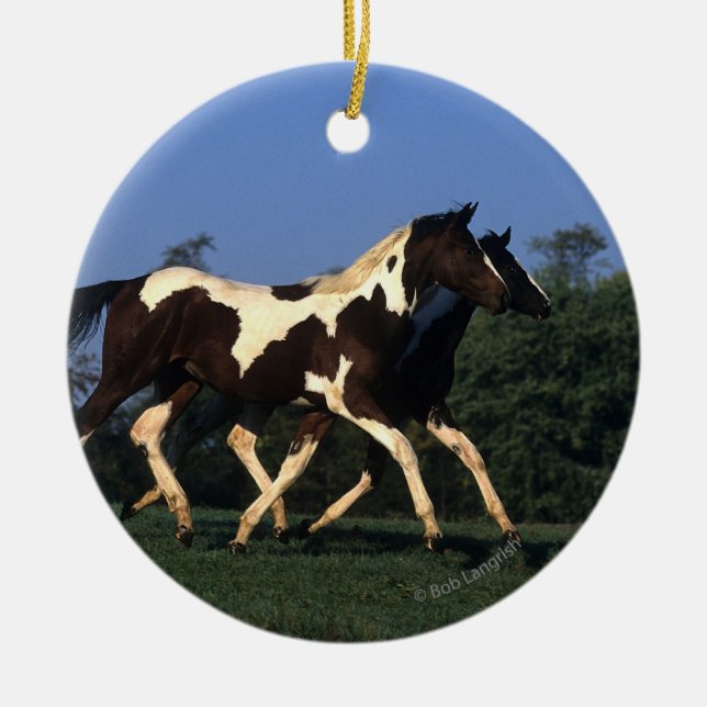 Malen Sie das Jährlings-Laufen Keramik Ornament (Vorne)