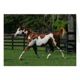 Malen Sie das Pferd, das 1 laufen lässt