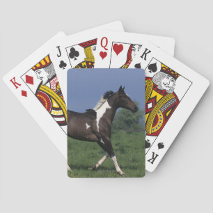 Malen Sie das Pferd, das 2 laufen lässt Spielkarten