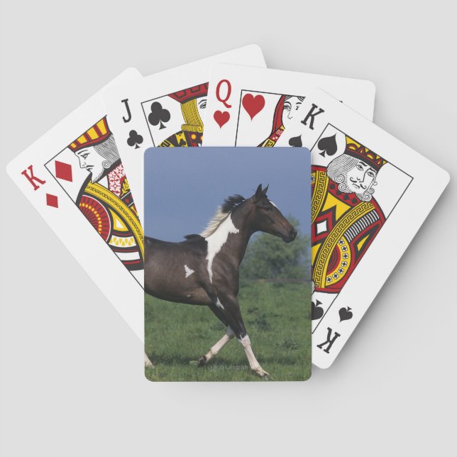 Malen Sie das Pferd, das 2 laufen lässt Spielkarten (Rückseite)