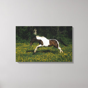 Malen Sie das Pferd, das in Feld der Blumen läuft Leinwanddruck
