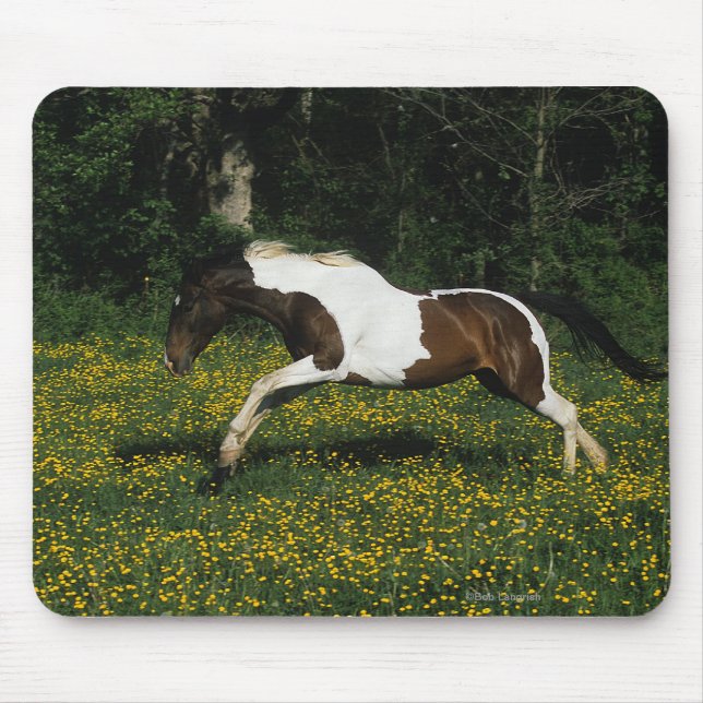 Malen Sie das Pferd, das in Feld der Blumen läuft Mousepad (Vorne)