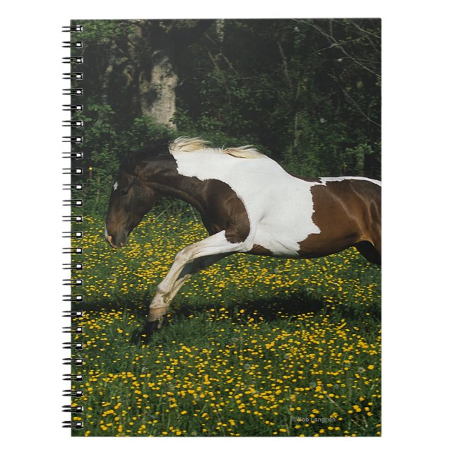 Malen Sie das Pferd, das in Feld der Blumen läuft Notizblock (Vorderseite)