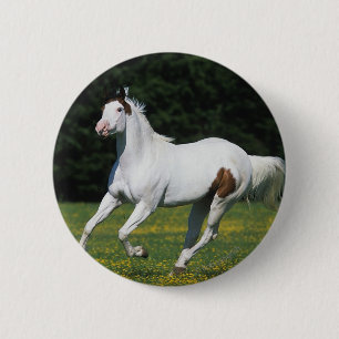 Malen Sie das Pferd, das in grasartiges Feld läuf Button
