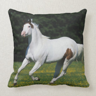 Malen Sie das Pferd, das in grasartiges Feld läuf Kissen