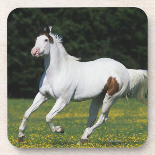 Malen Sie das Pferd, das in grasartiges Feld läuf Untersetzer