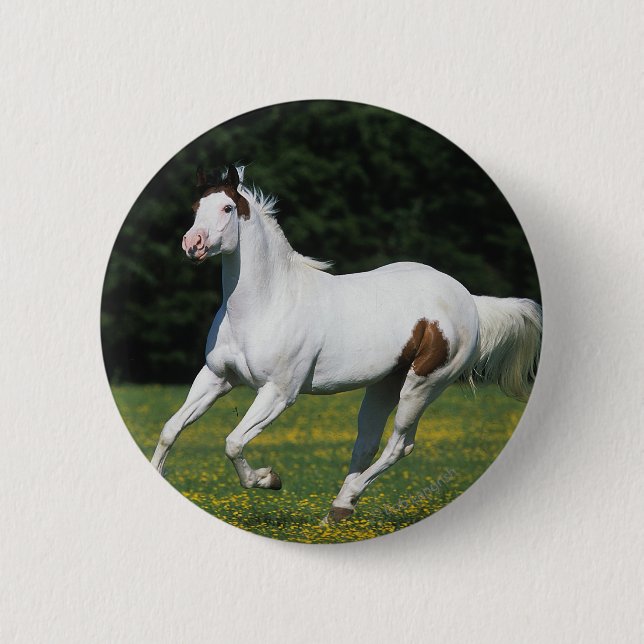Malen Sie das Pferd, das in grasartiges Feld läuft Button (Vorderseite)
