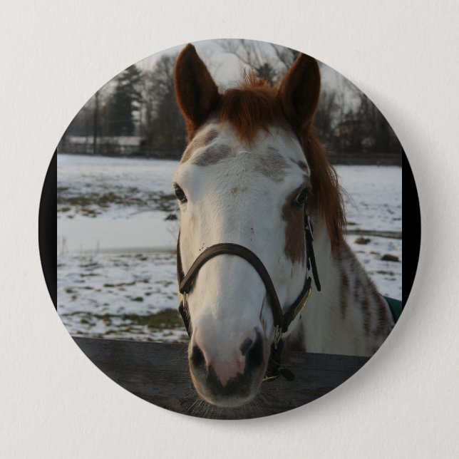 Malen Sie Knopf Button (Vorderseite)