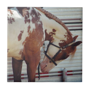 Malen Sie Pferd Fliese