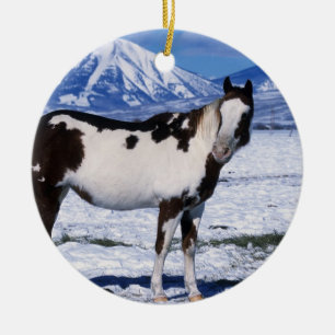 Malen Sie Pferd stehend im Schnee Keramikornament