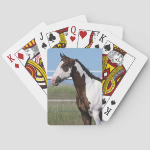 Malen Sie Pferd stehend Spielkarten