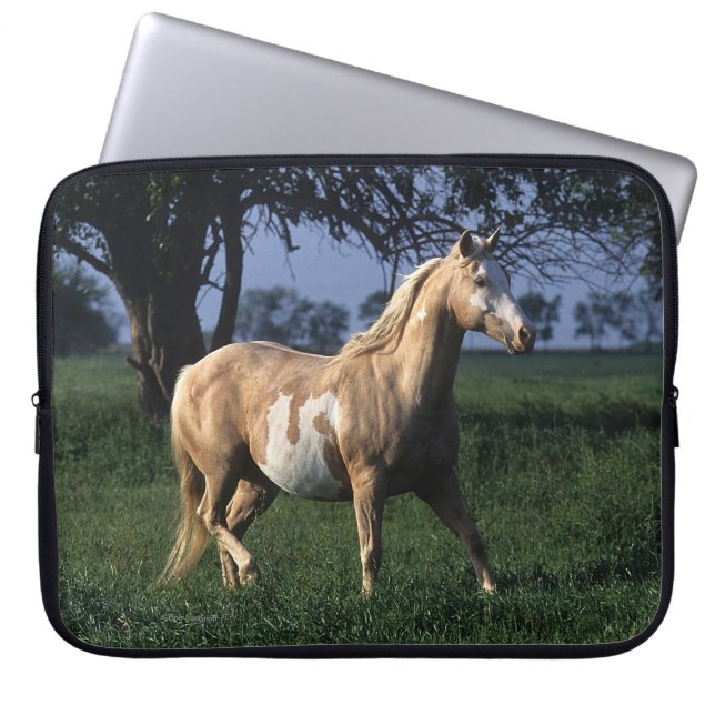 Malen Sie Pferd stehende 2 Laptopschutzhülle (Vorderseite)