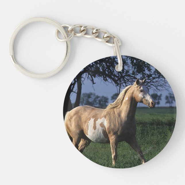Malen Sie Pferd stehende 2 Schlüsselanhänger (Vorderseite)