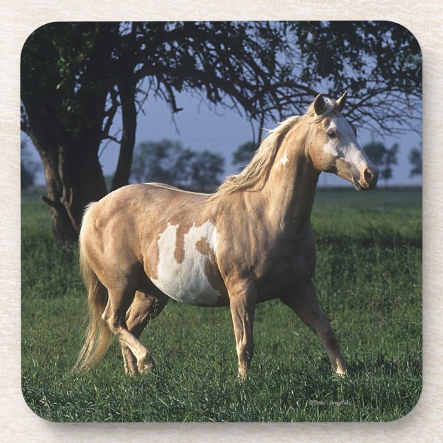 Malen Sie Pferd stehende 2 Untersetzer (Vorderseite)