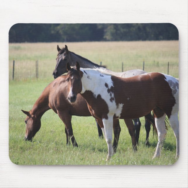 Malen Sie Pferd und Freunde Mousepad (Vorne)