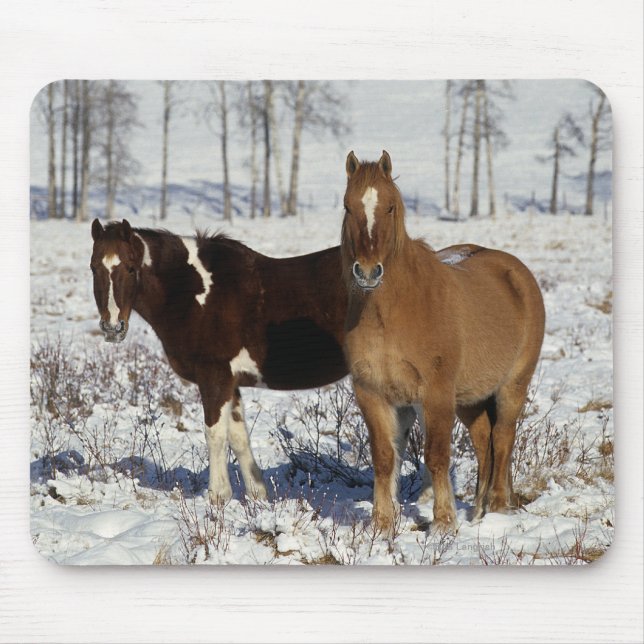 Malen Sie Pferde im Schnee Mousepad (Vorne)