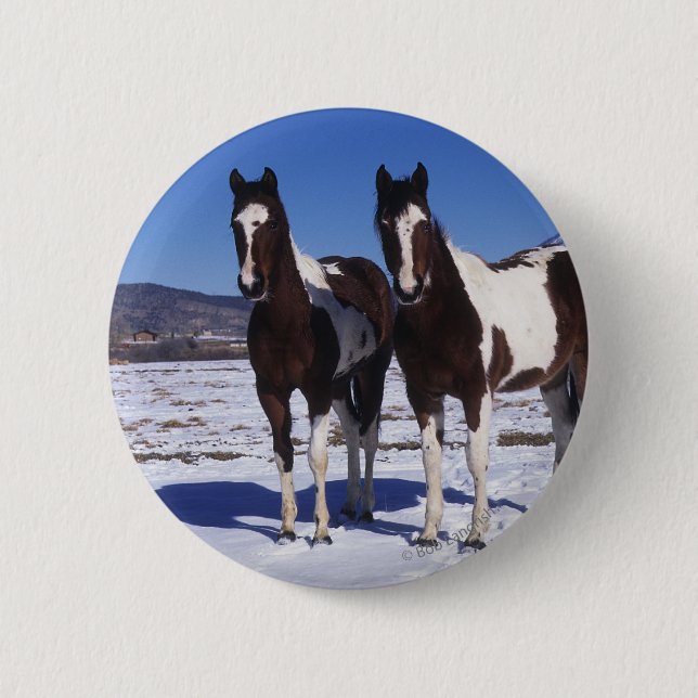 Malen Sie Pferde stehend im Schnee Button (Vorderseite)