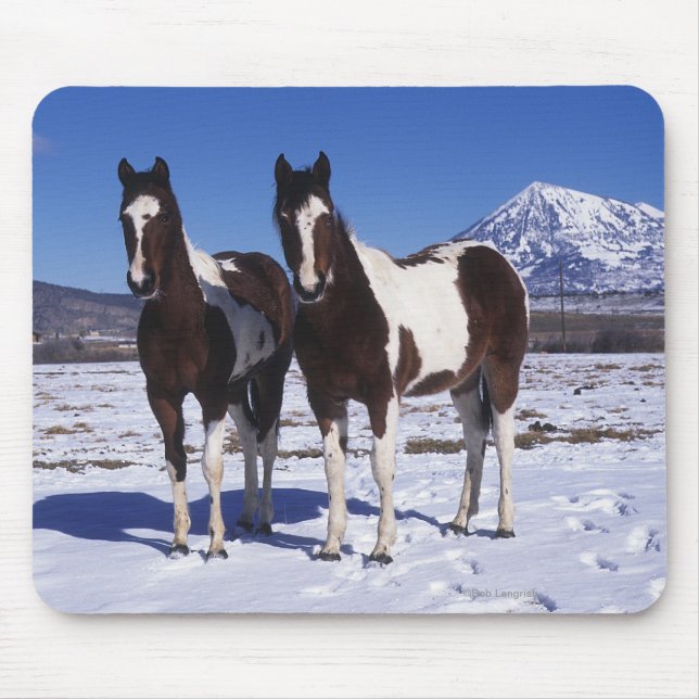 Malen Sie Pferde stehend im Schnee Mousepad (Vorne)