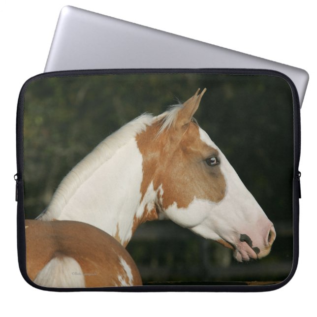 Malen Sie PferdeHeadshot 2 Laptopschutzhülle (Vorderseite)
