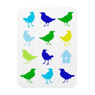Malerei der farbigen Vögel durch Chariklia Zarris Magnet