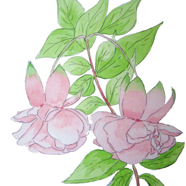 Malerei hübscher rosa Blume Kaffeetasse (Von Creator hochgeladen)