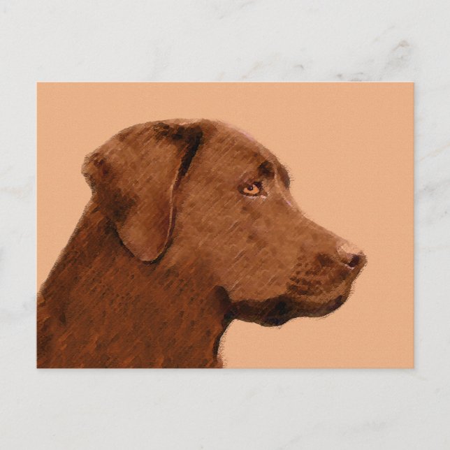 Malerei mit Labrador Retriever (Schokolade) - Hund Postkarte (Vorderseite)
