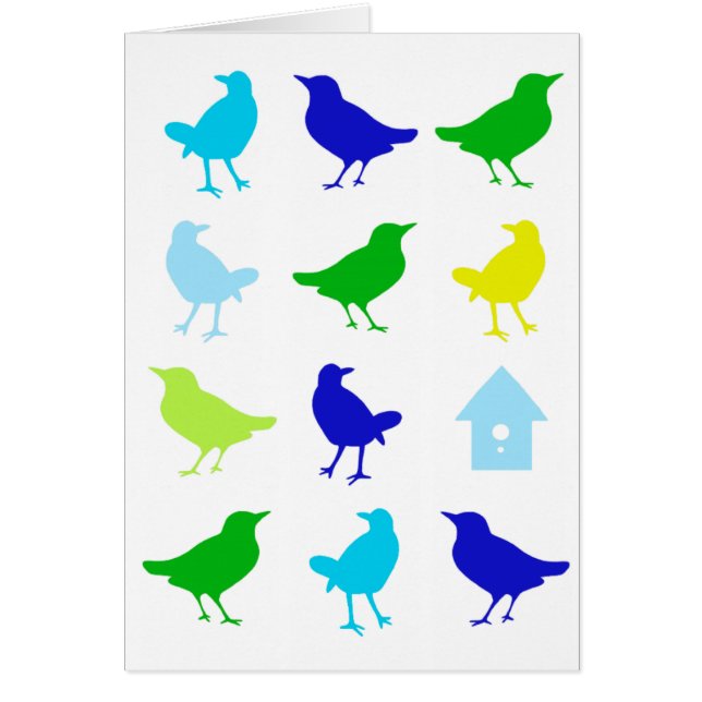 Malerei von farbigen Vögeln durch Chariklia Zarris (Vorne)