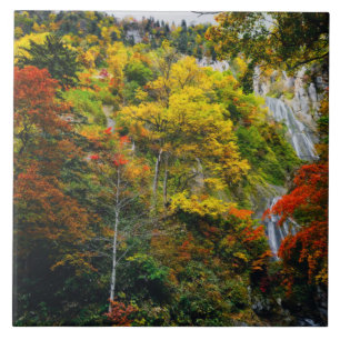 Malerische Aussicht auf Fall Hagoromo Falls Hokkai Fliese
