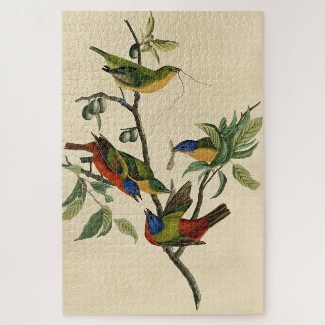 Malerische Finch (Jagd) Audubons Vögel von Amerika (Vertikal)