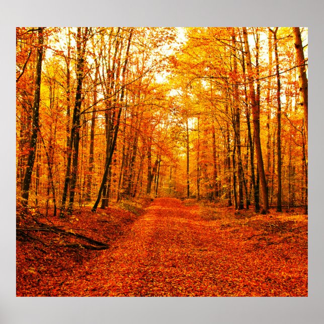 Malerische Landschaft des Herbstes Poster (Vorne)