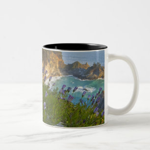 Malerische McWay Falls stürzt auf den Strand und Zweifarbige Tasse
