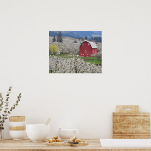 Malerische rote Scheune und Birnenblüten Poster