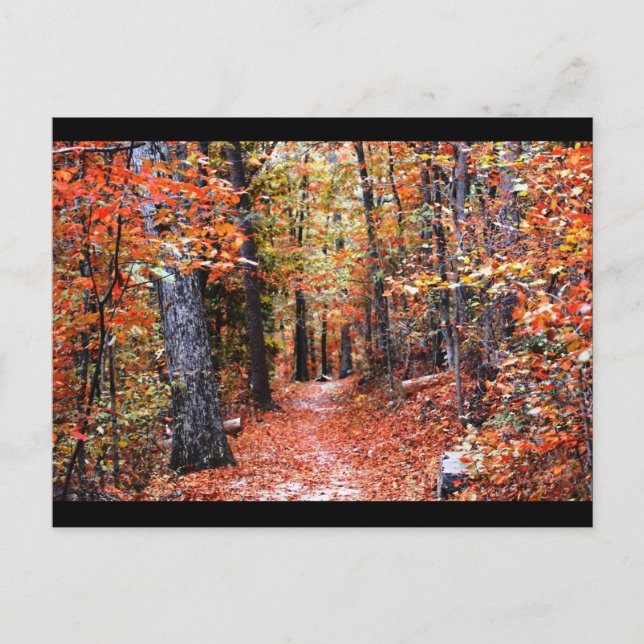 Malerische Waldspazierweg Wasserfarbengeschenke Postkarte (Vorderseite)