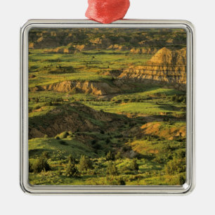 Malerischer Canyon nach Sturm in Theodore Roosevel Ornament Aus Metall