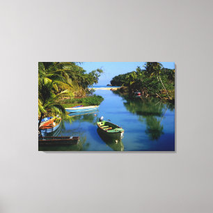 Malerischer Fluss nahe Ocho Rios in Jamaika Leinwanddruck