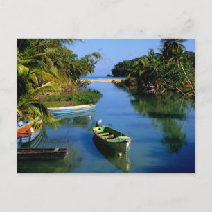 Malerischer Fluss nahe Ocho Rios in Jamaika Postkarte