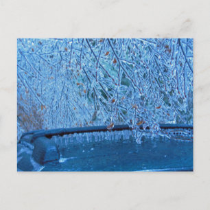 Malibu Icicles Postkarte