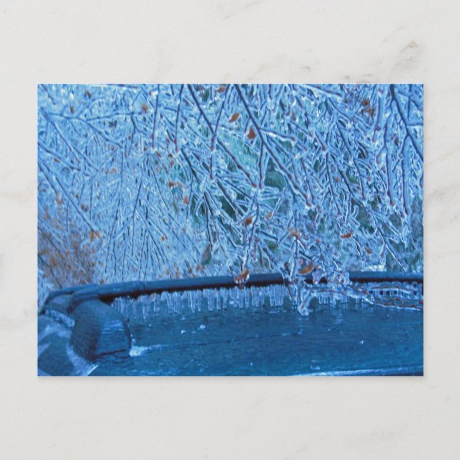 Malibu Icicles Postkarte (Vorderseite)